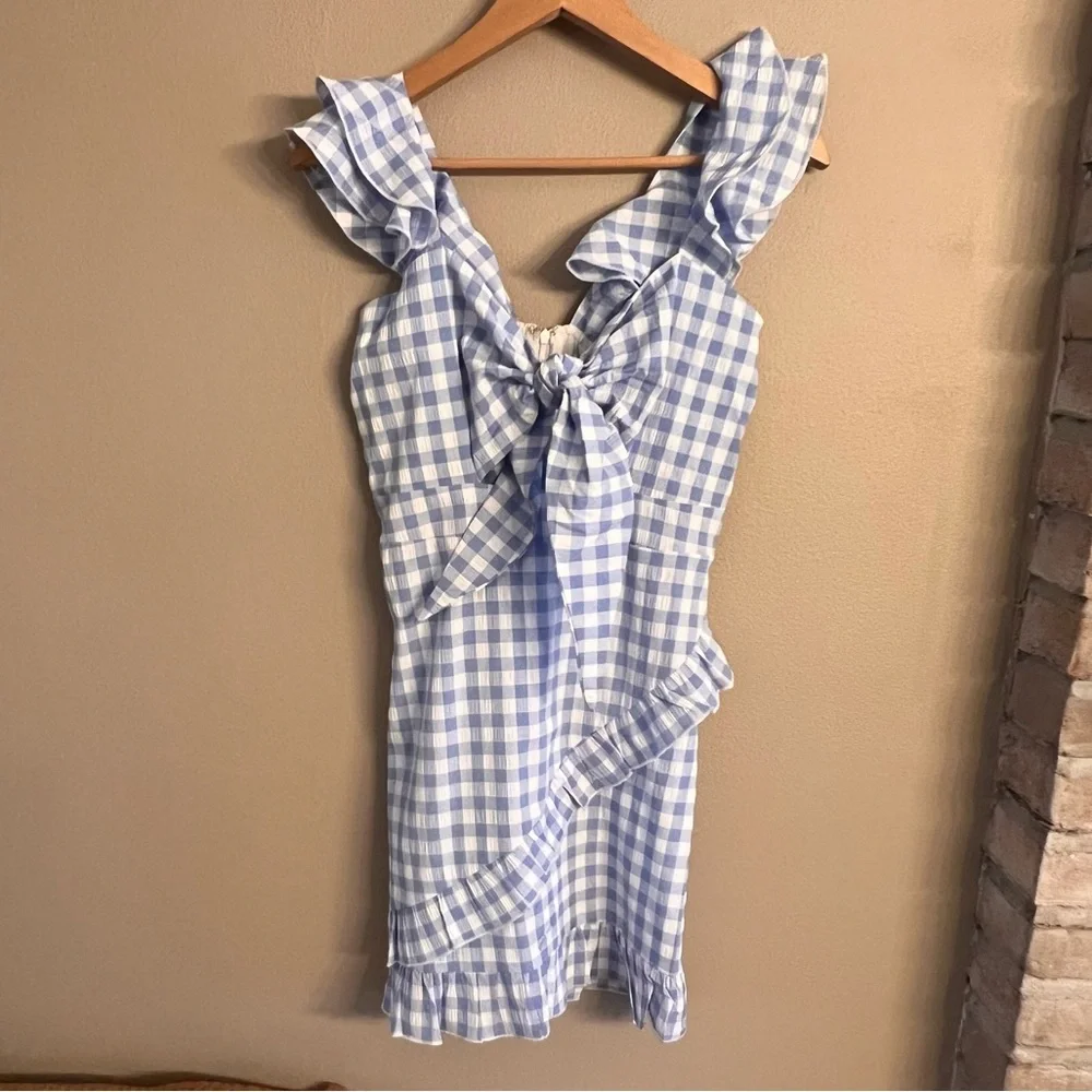 Petal & Pup Blue and White Gingham Tie-Front Mini Dress - Picture 2 of 8